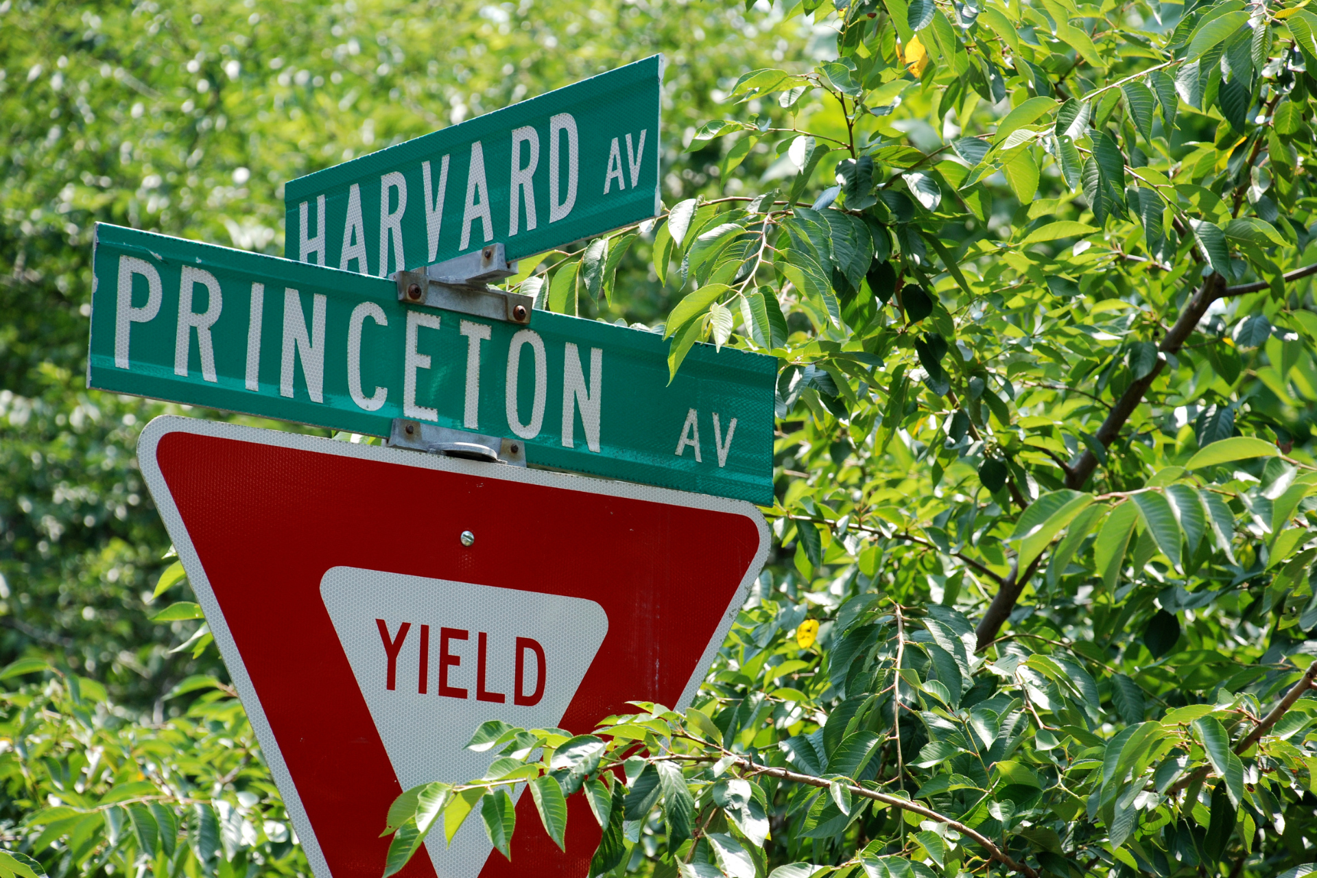 Las 10 mejores universidades de EE.UU. según el ranking QS